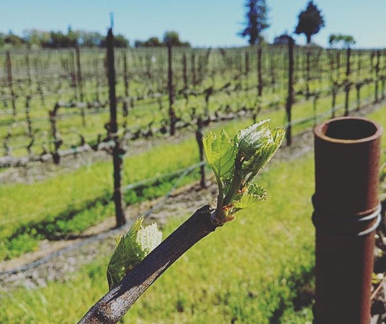 Spring is Right Around the Corner.