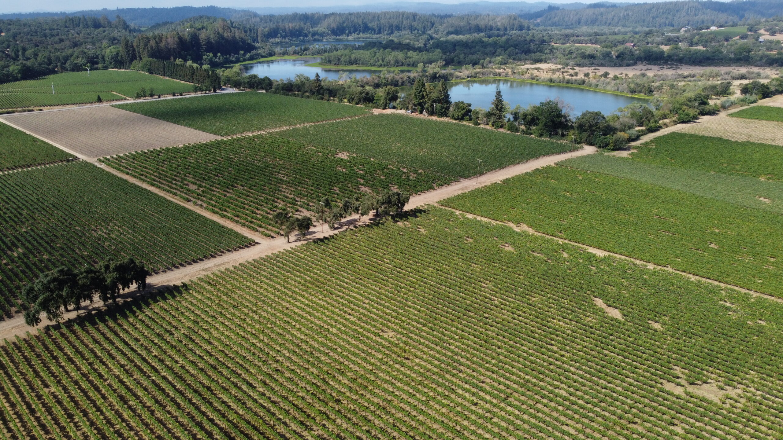 Hopkins River Ranch, Russian River Valley, Sonoma County, California